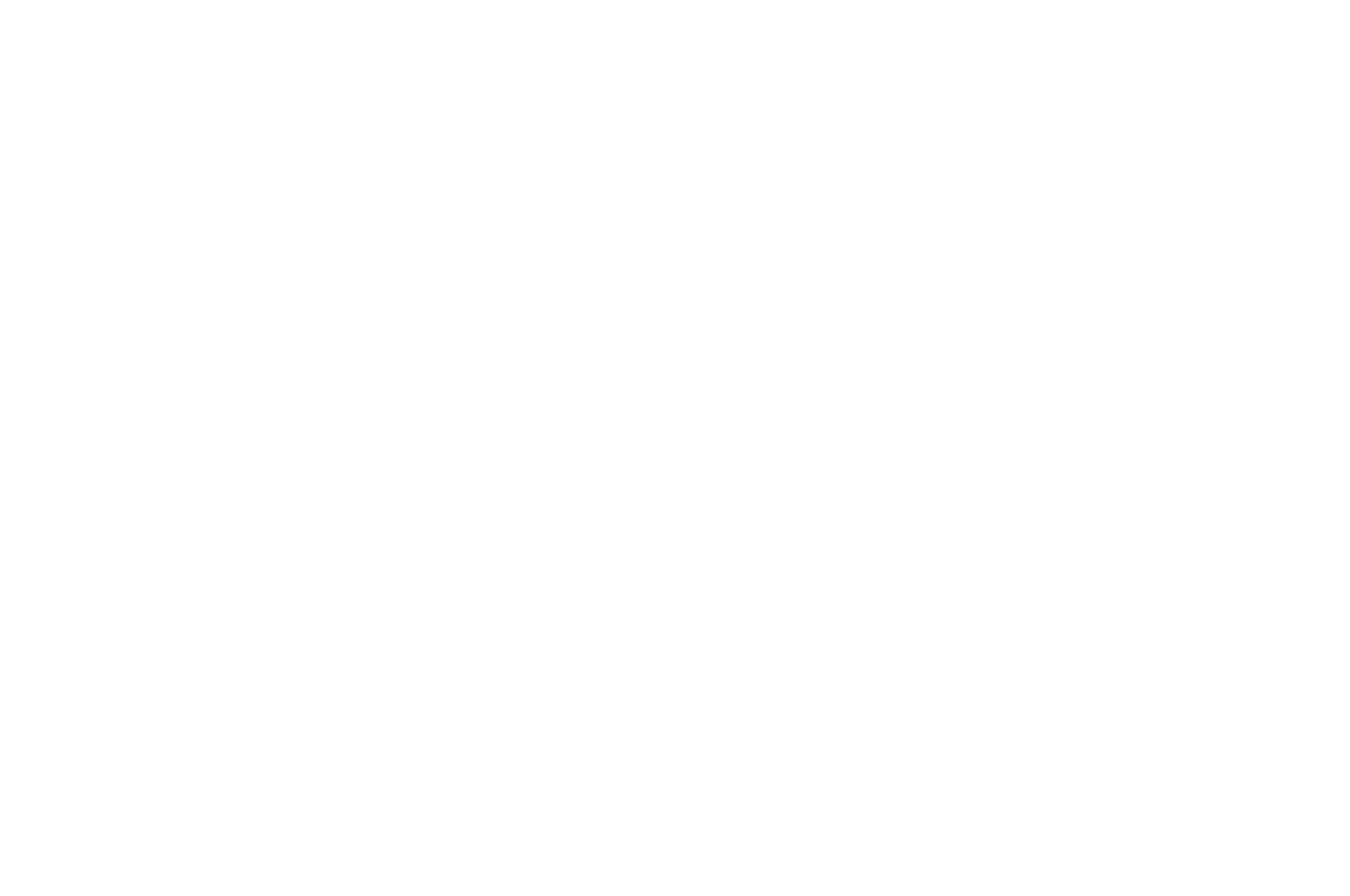Official Selection - Amelia Island Film Festival 2022