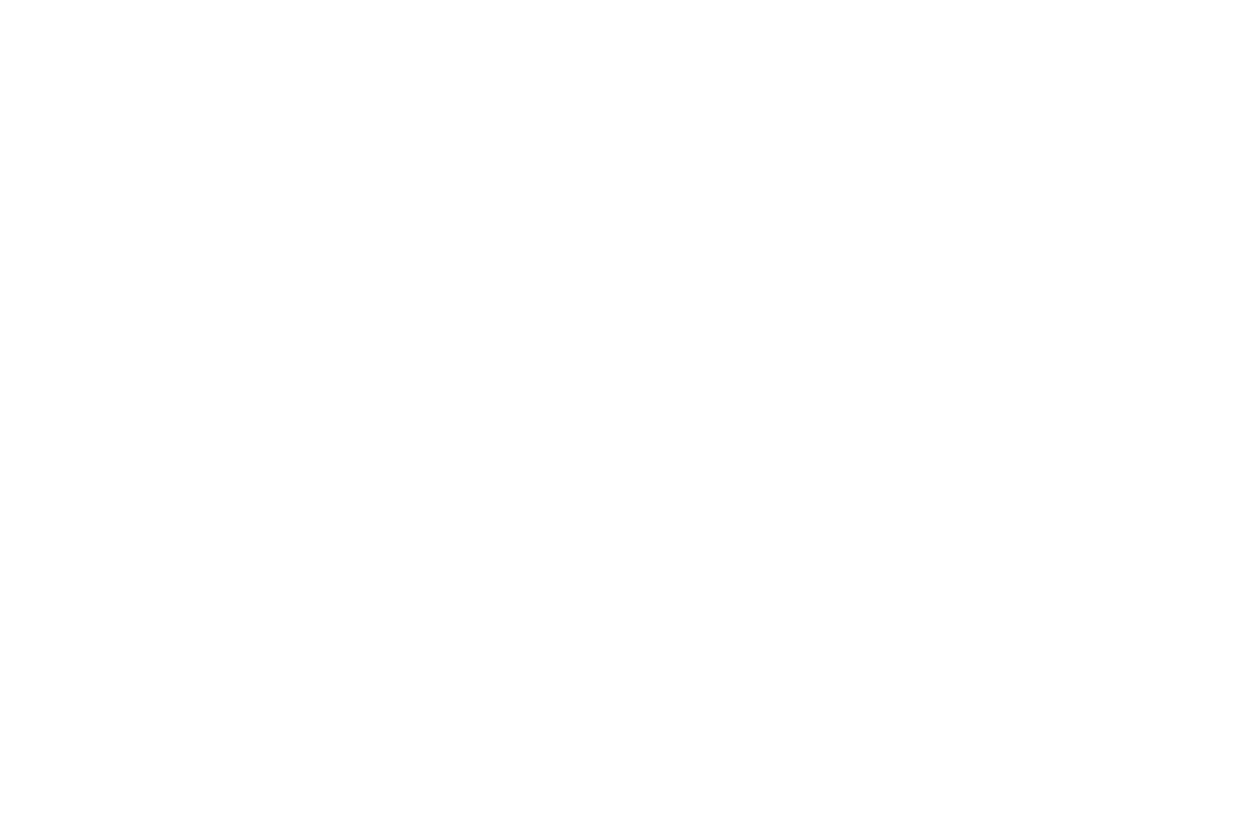Official Selection - Flathead Lake International Cinemafest 2022
