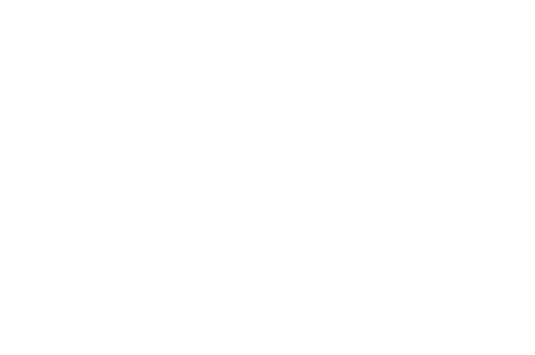 Official Selection - Fort Myers Beach International Film Festival 2022